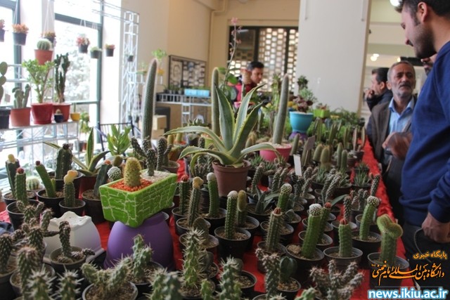 گزارش تصویری نمایشگاه گل و گیاه در دانشگاه